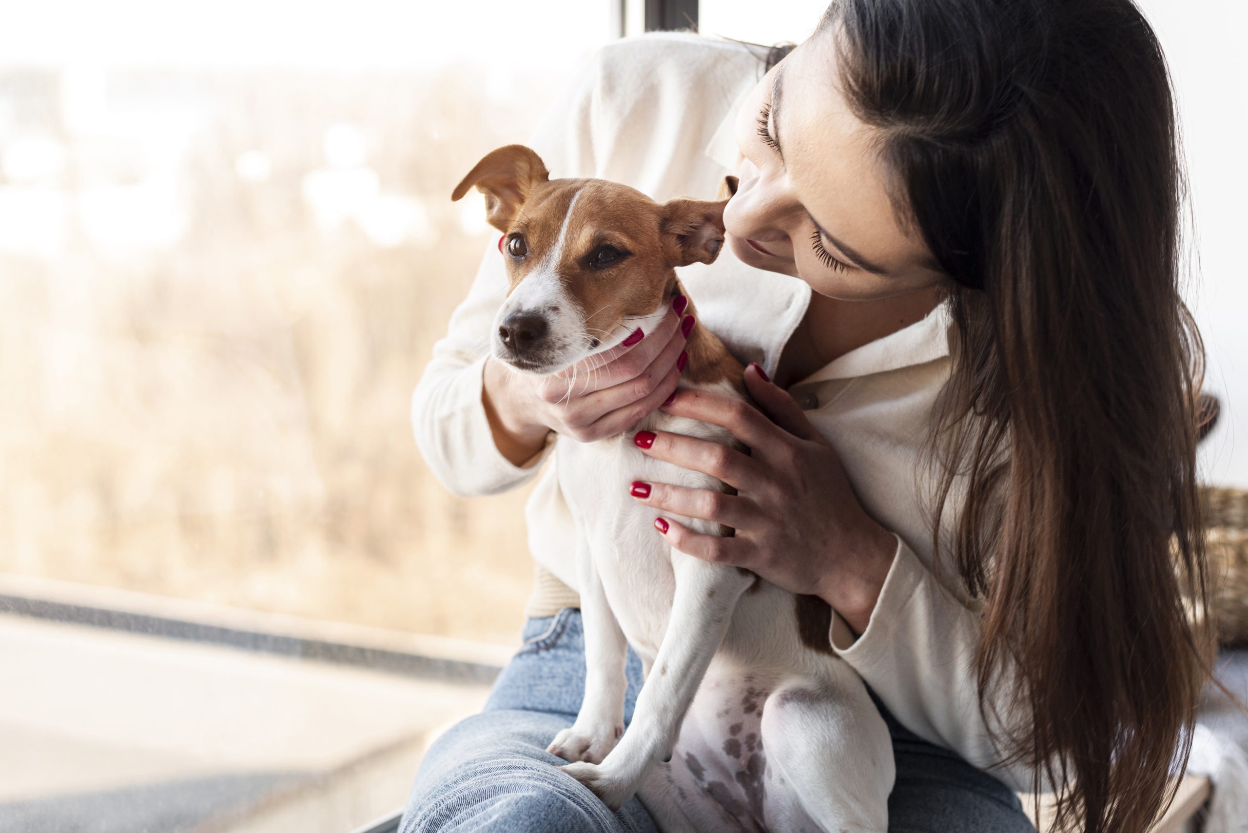 Beneficios de la cremación de mascotas